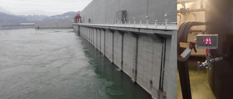 三峡左岸电站项目技术交流与培训会圆满完成